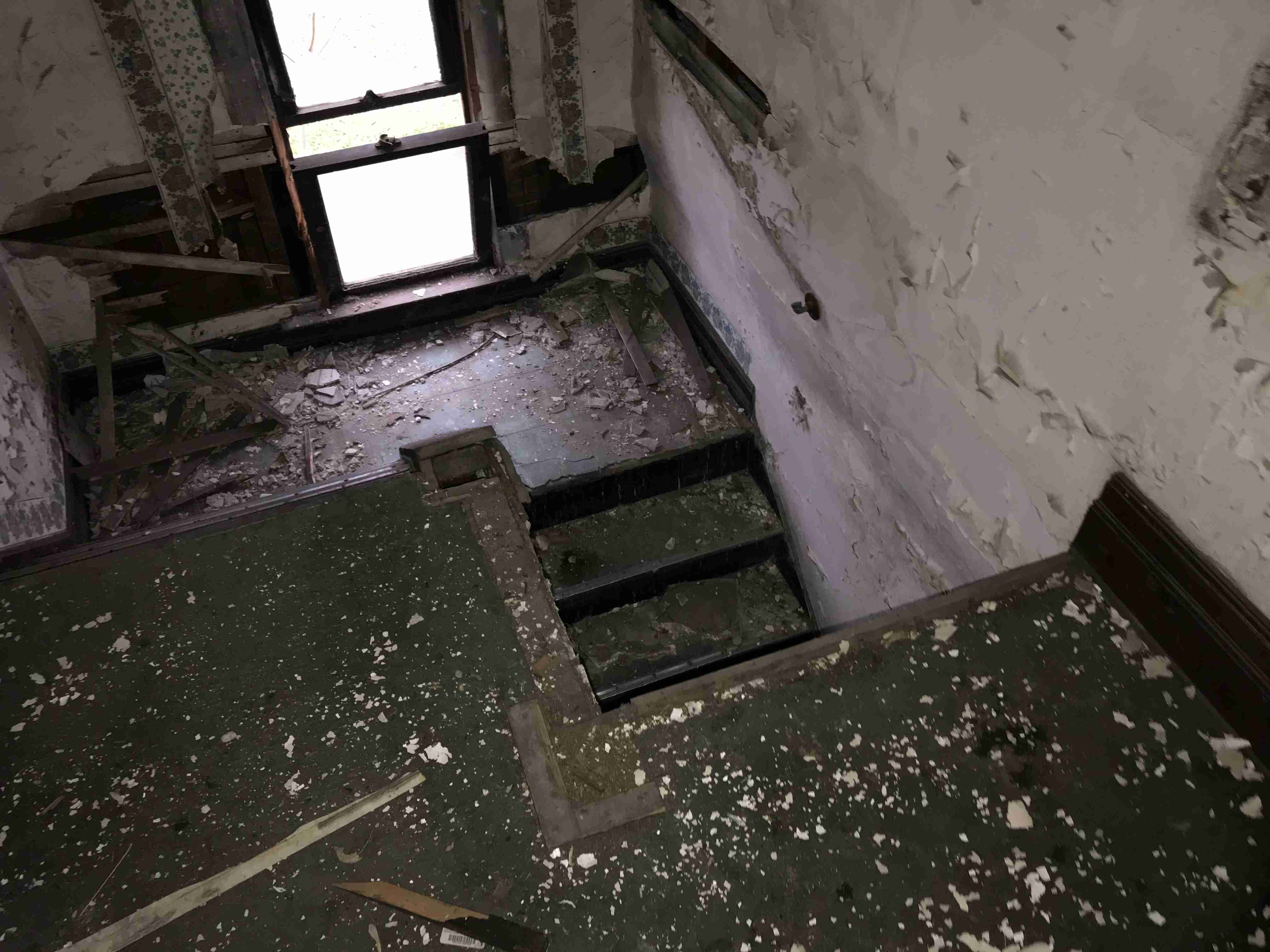 Photo Nov 05, 7 50 04 AM.jpg